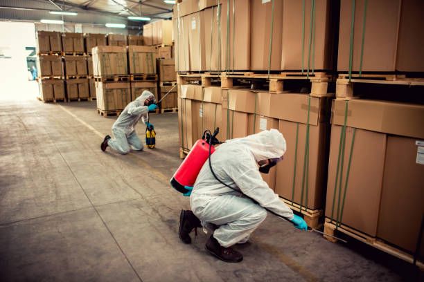 Best Affordable Pest Control Services  in Rocky Point, NC