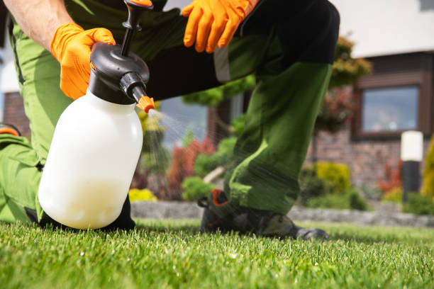 Wildlife Control Services in Rocky Point, NC