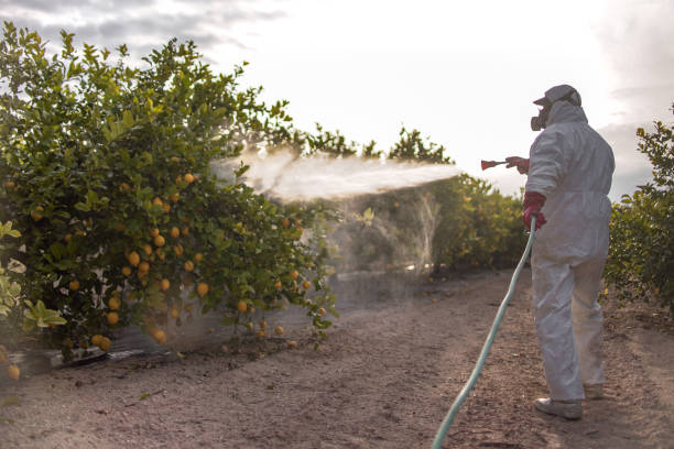 Best Mosquito Control Services  in Rocky Point, NC