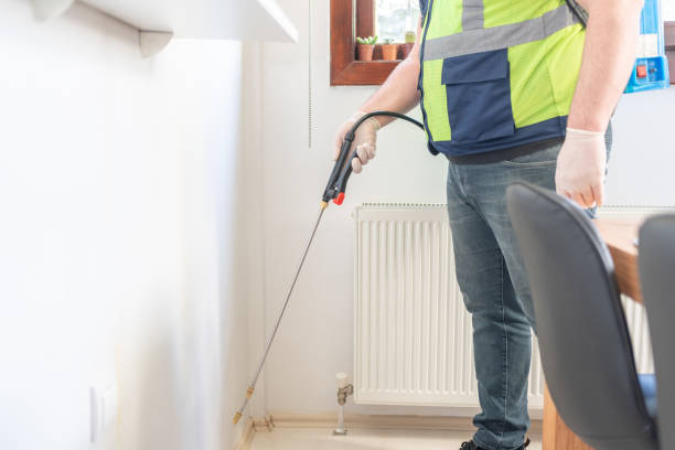 Wasp Removal Services in Rocky Point, NC