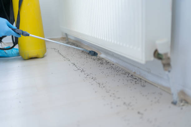 Best Wildlife Control Services  in Rocky Point, NC
